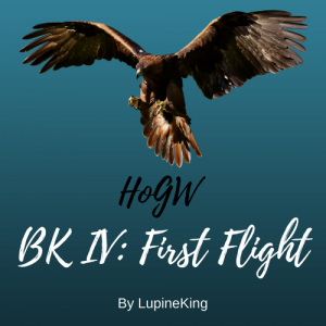 HoGW BK IV: First Flight